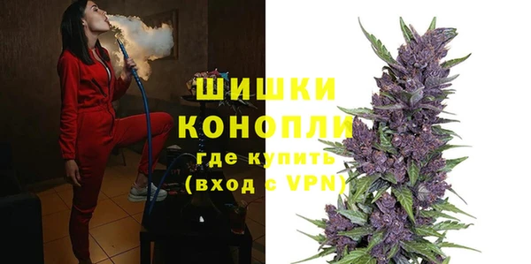 стаф Козловка