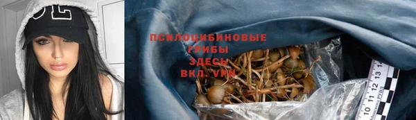 бошки Кодинск