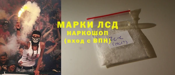 стаф Козловка