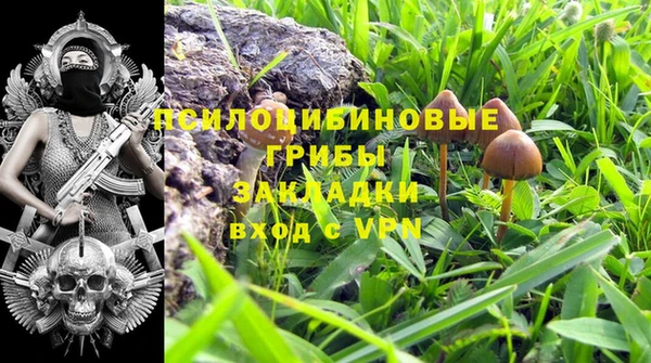 ПСИЛОЦИБИНОВЫЕ ГРИБЫ Карталы