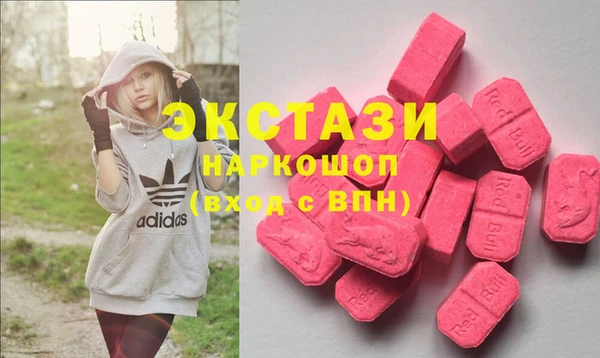 стаф Козловка
