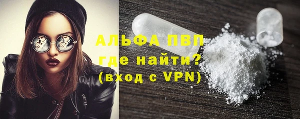 стаф Козловка