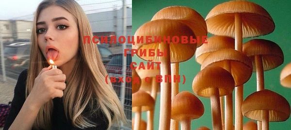 бошки Кодинск