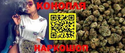 мдпв Кингисепп
