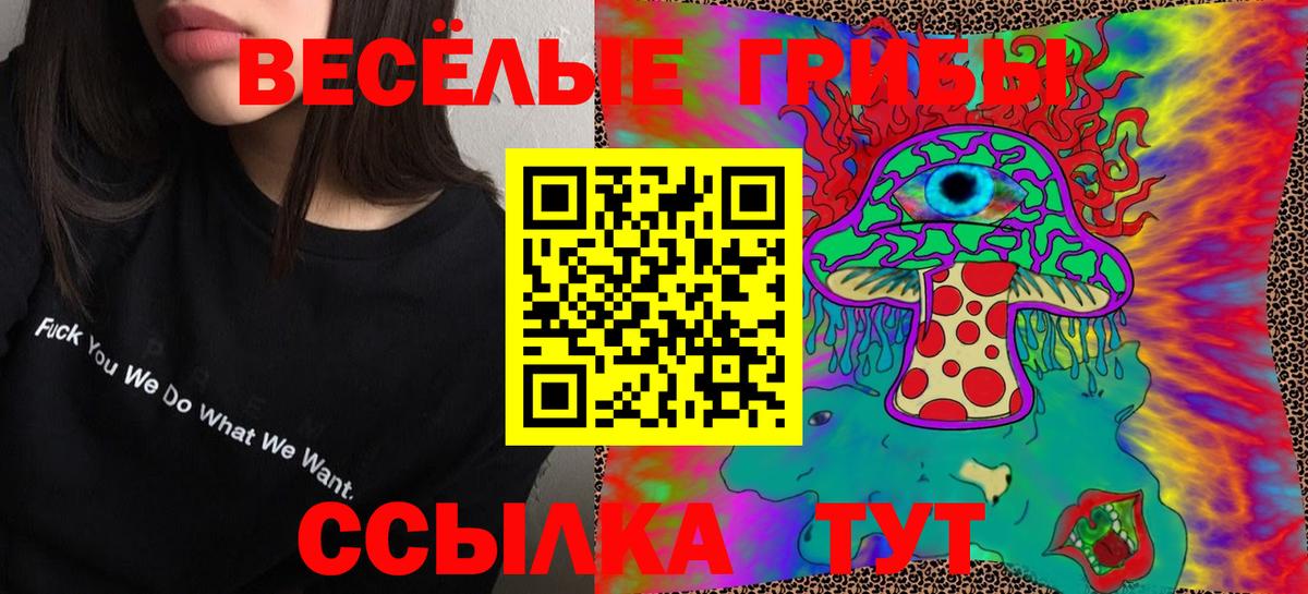 Псилоцибиновые грибы Psilocybe Мелеуз