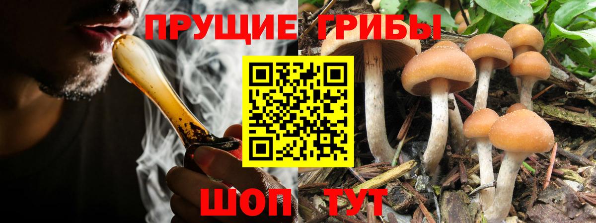 Мелеуз  как найти наркотики  Вход с VPN  Псилоцибиновые грибы Psilocybe 